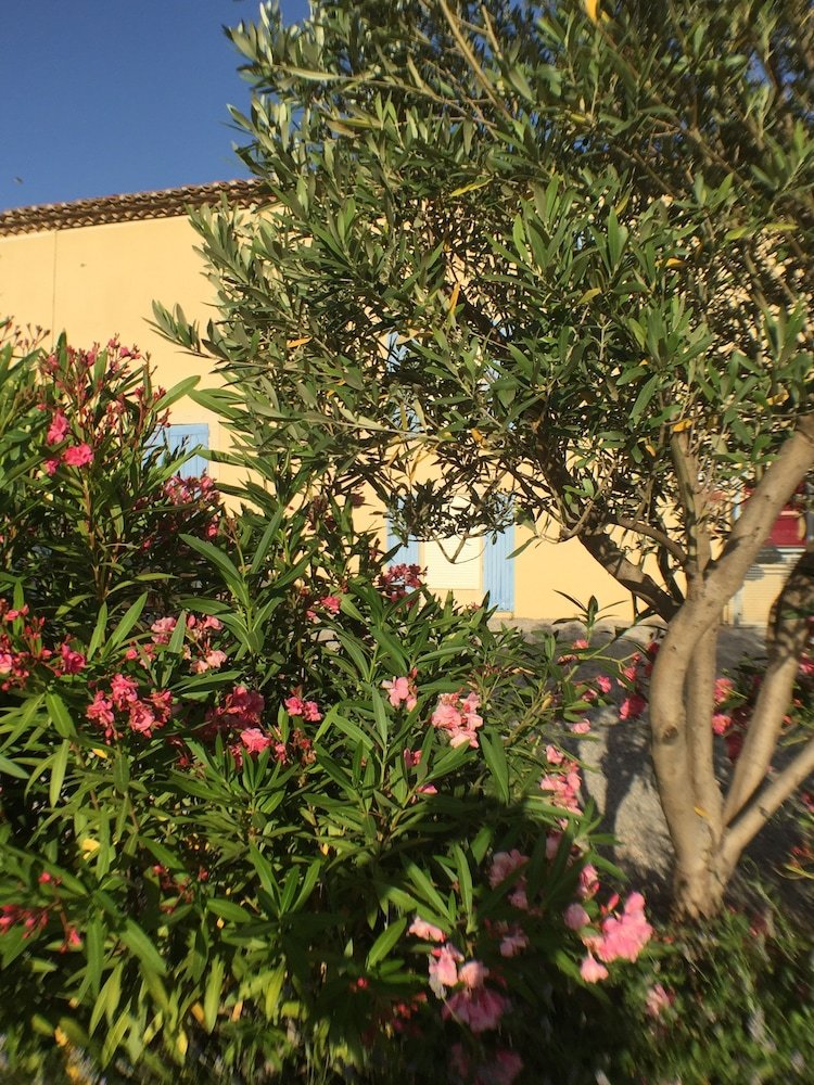 Bed & Breakfast Domaine Du Griffon