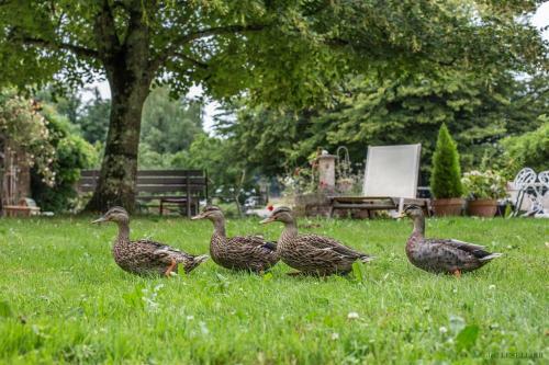 Bed & Breakfast La Ferme De Marie Eug�nie