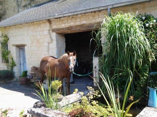 Bed & Breakfast Le Noisillet