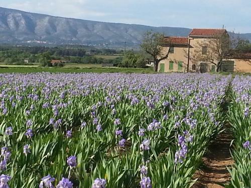 Villa Maison Proche D'aix-en-provence