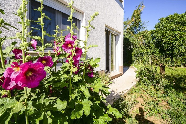 Apartments Konta
