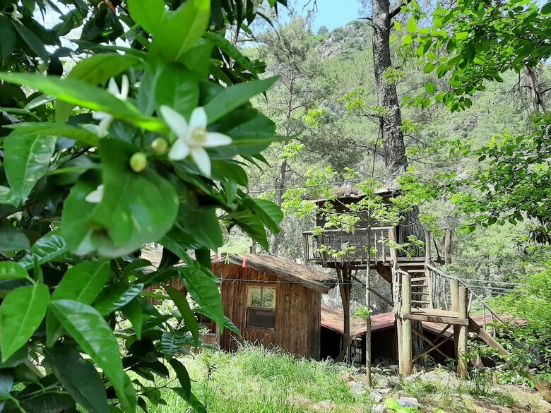 Hotel Altaris Bungalows Olympos