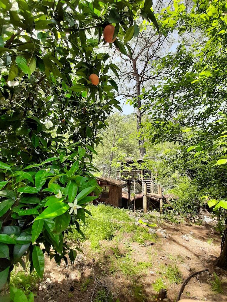 Hotel Altaris Bungalows Olympos