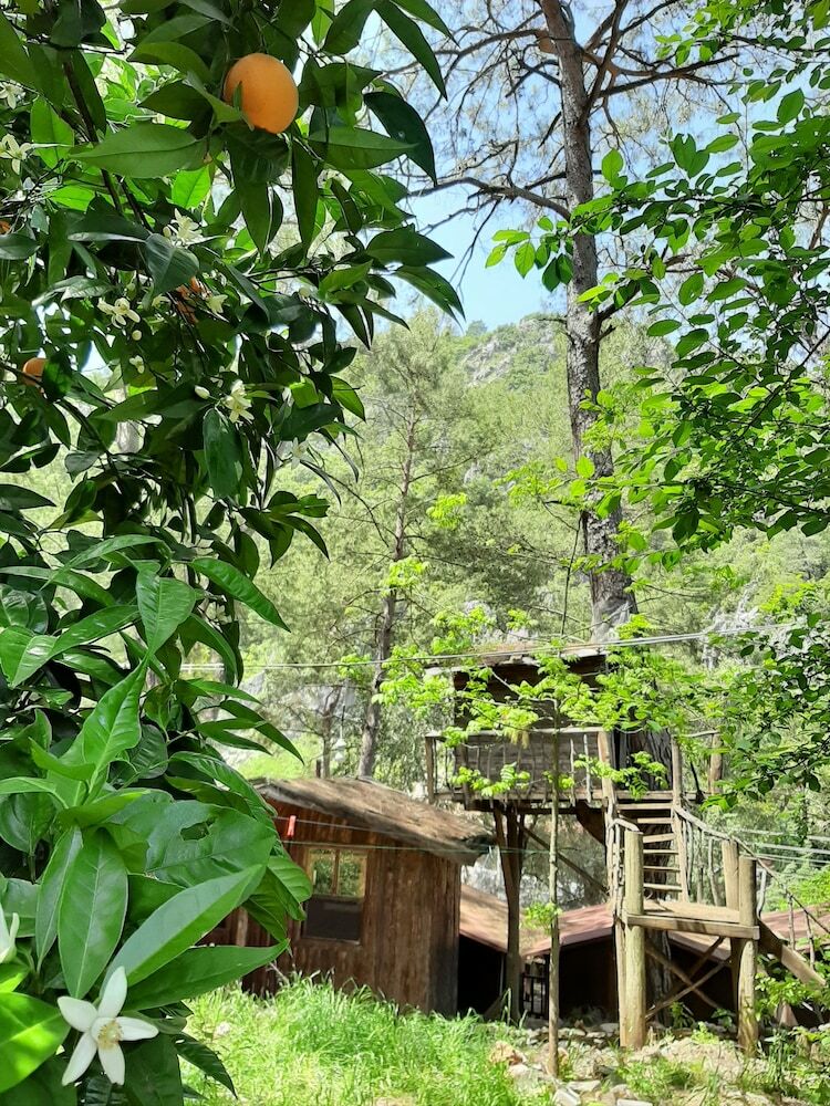 Hotel Altaris Bungalows Olympos