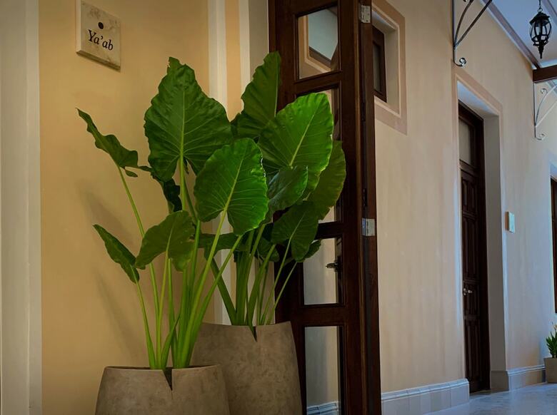 Hotel Casa Tavera