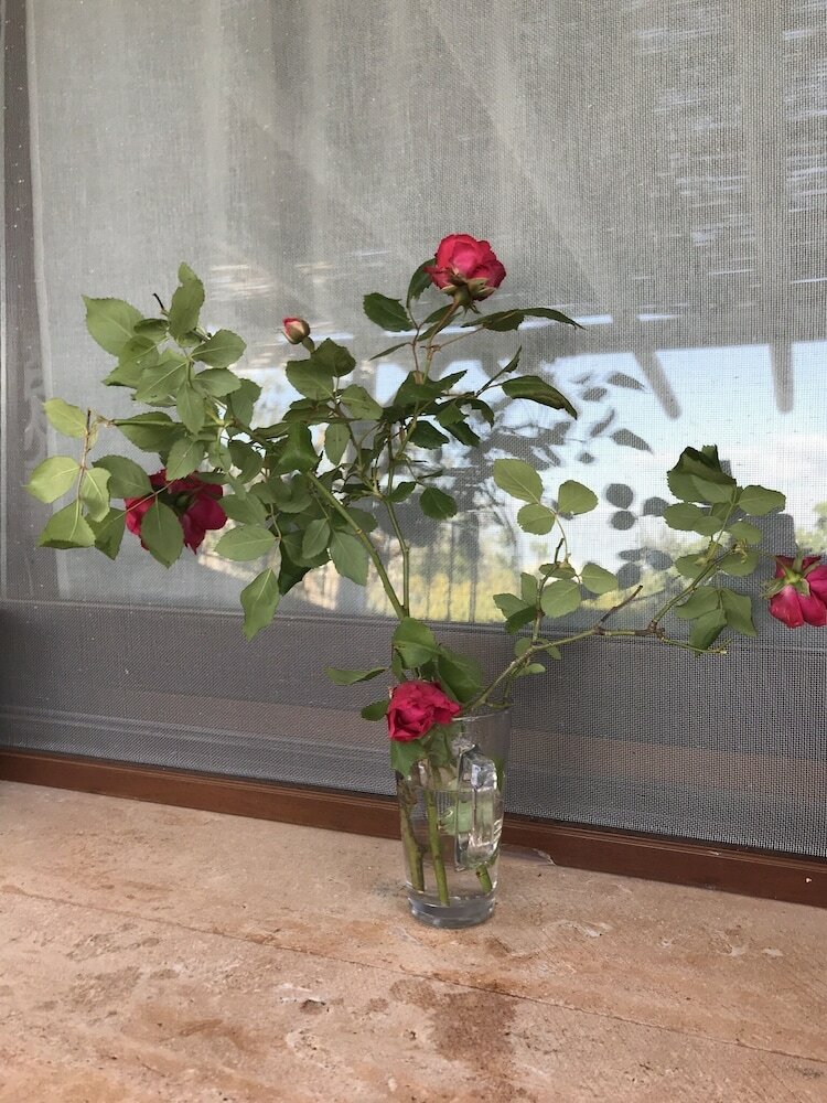 Guest House B&B Pietra Bianca