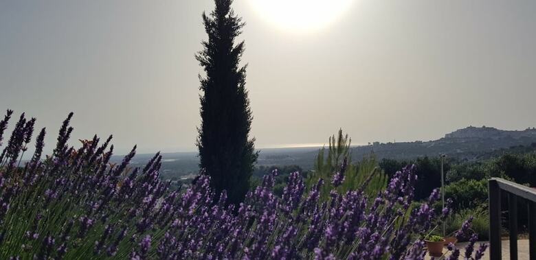 Guest House B&B Pietra Bianca