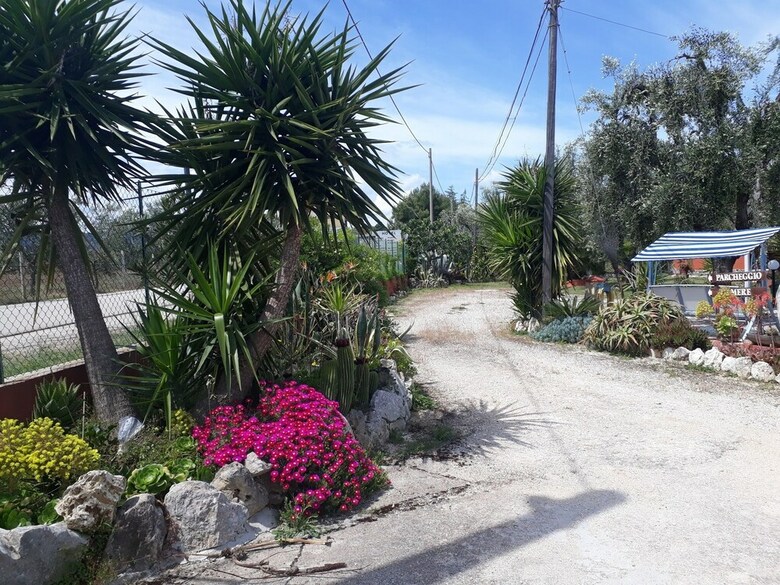 B&B Uliveto Del Gargano