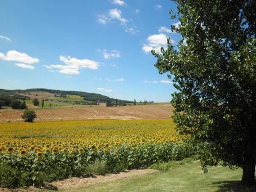 Bed & Breakfast Domaine De La Vigne