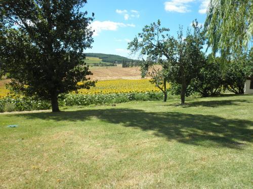 Bed & Breakfast Domaine De La Vigne