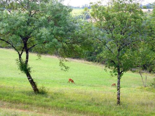 Hostal Les Hauts D'albas