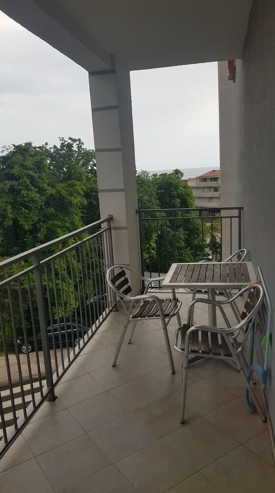 Hotel Paun