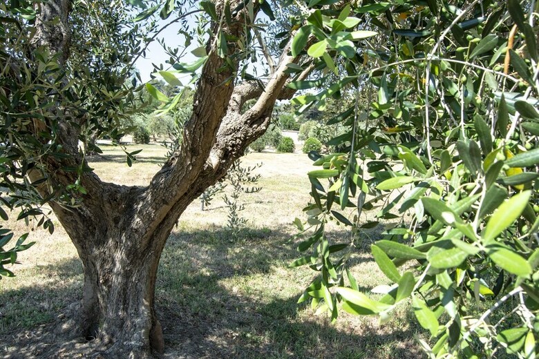 Apartamento Villaggio Azzurro