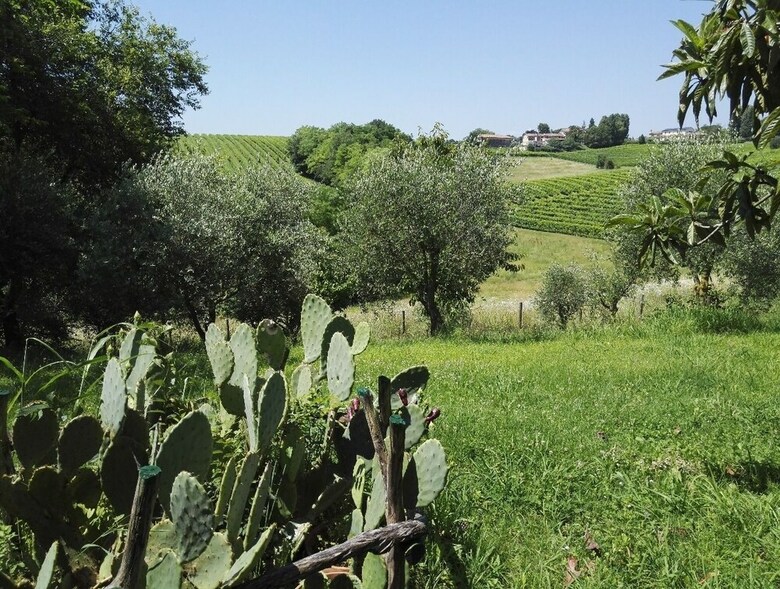Bed & Breakfast Il Giuggiolo