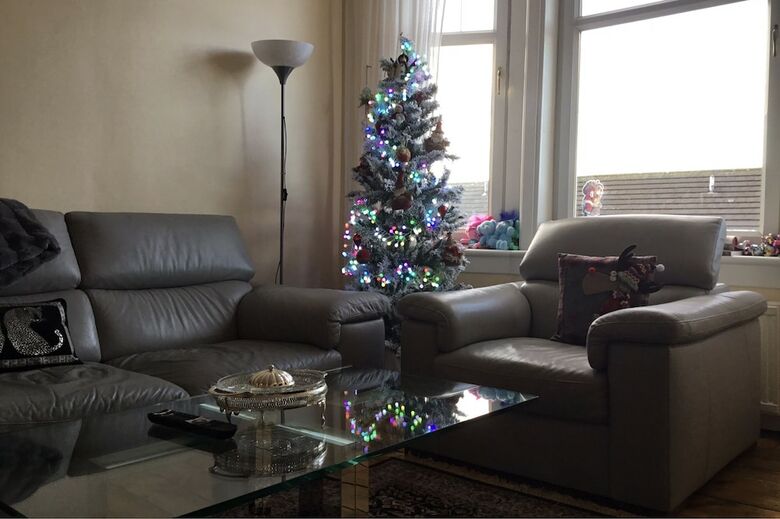 Luxurious Apartment Next To Green Park