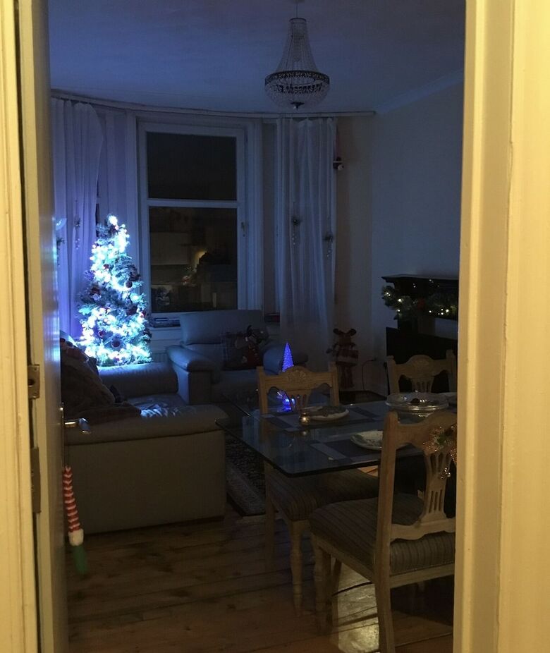 Luxurious Apartment Next To Green Park