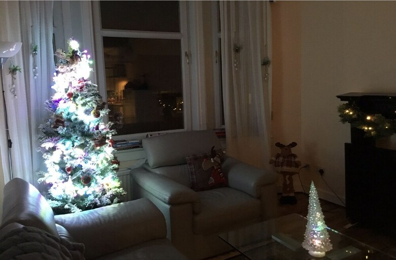Luxurious Apartment Next To Green Park