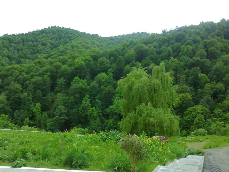 Hotel Rest House In Dilijan