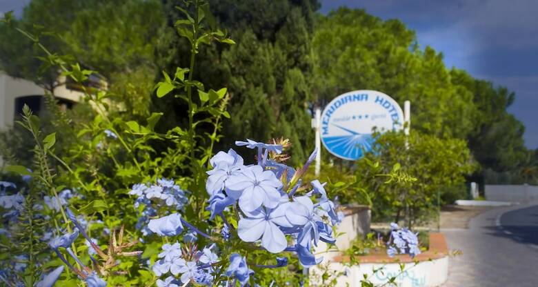 Hotel Meridiana