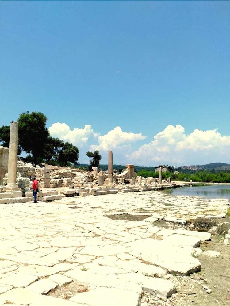 Lotus Patara Apart