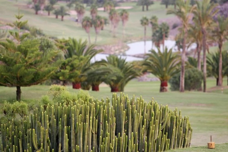 Luxury Villa La Calma Private Pool Gran Canaria