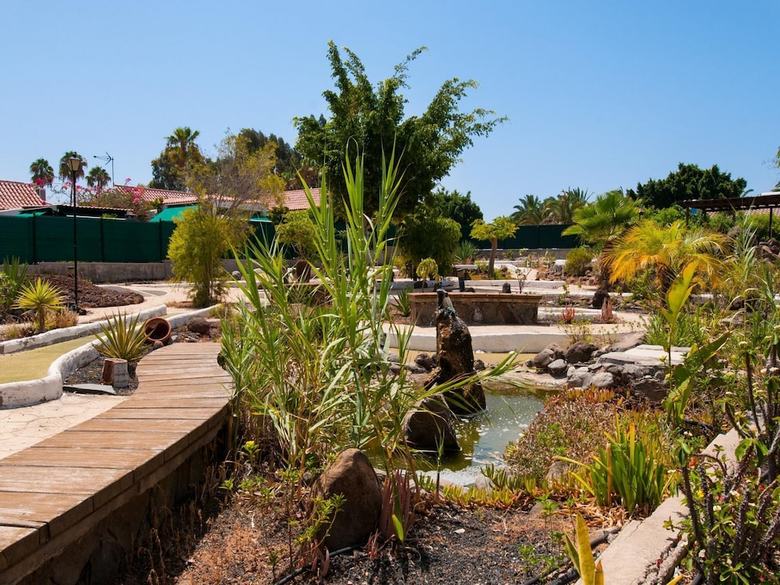 Bungalow With Terrace In Maspalomas Ds50