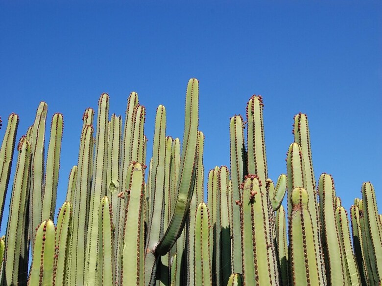 Salobre Golf Gran Canaria Lagos 40