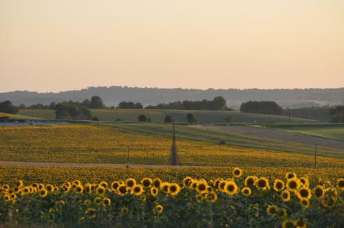 Bed & Breakfast Chambres Et Tables D'h�tes La Grange Au Bois