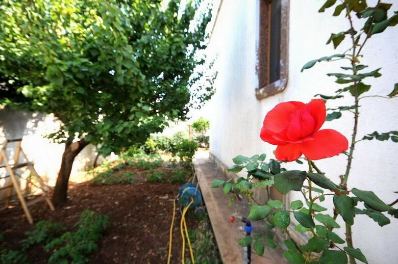 Santu Nicola - Bed And Breakfast