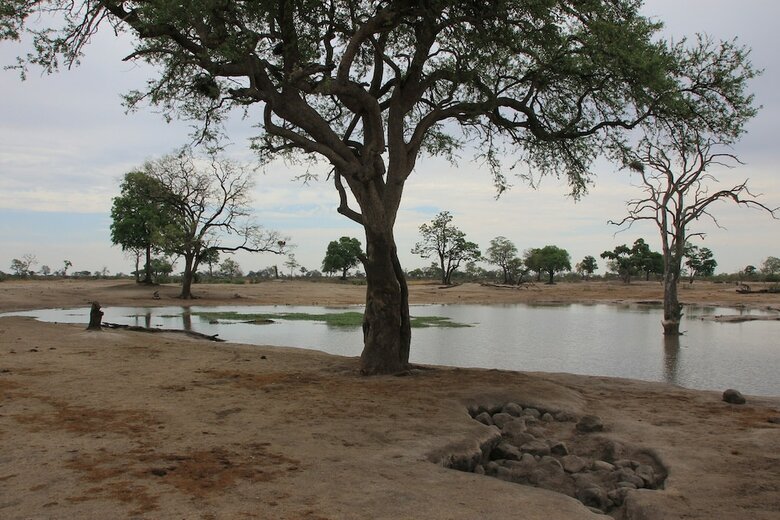 Posada Miombo Safari Camp