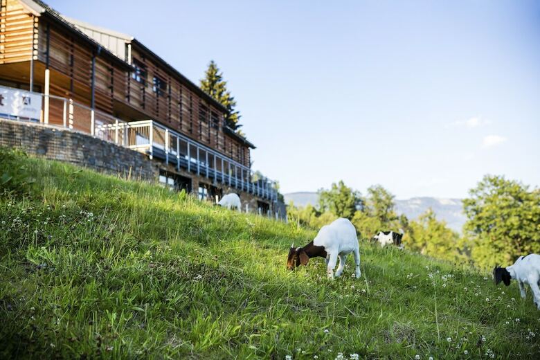 Amenity Hotel & Resort ?pindler?v Ml�n