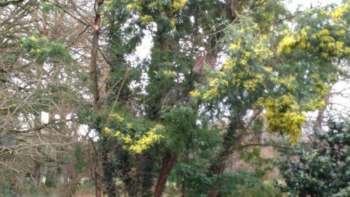 Bed & Breakfast Chambre D'h�tes De Pirieuc