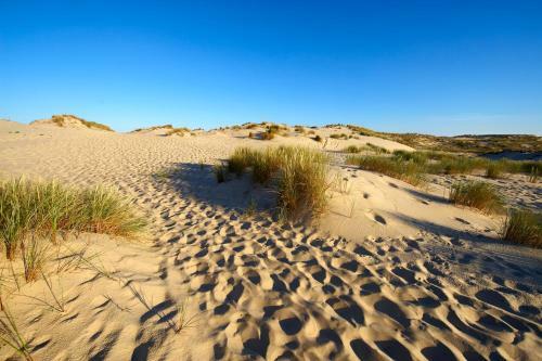 Hostal Les Cinq Sens Du Ch�teau Mayne Lalande