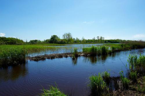 Hostal Les Cinq Sens Du Ch�teau Mayne Lalande