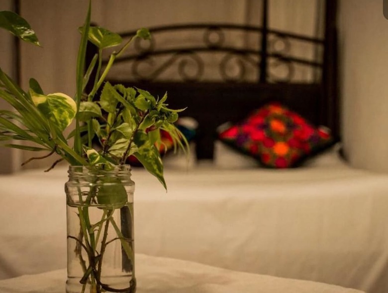 Bed & Breakfast Casa Kimaya