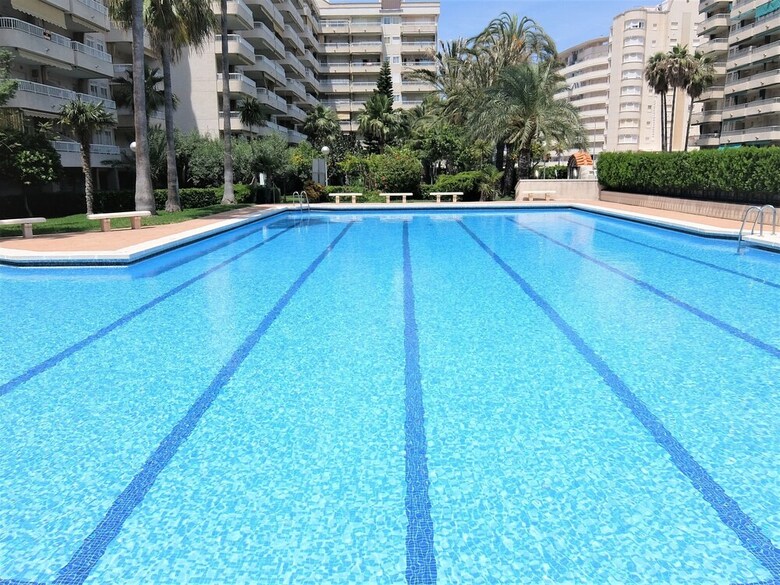 Apartamentos Parque 8 - 9� - 2� - 4� (6/7) (S�lo Familias)