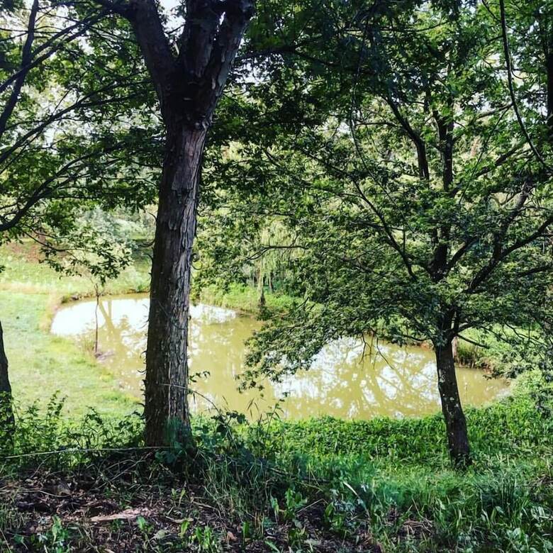 Agroturismo La Valle