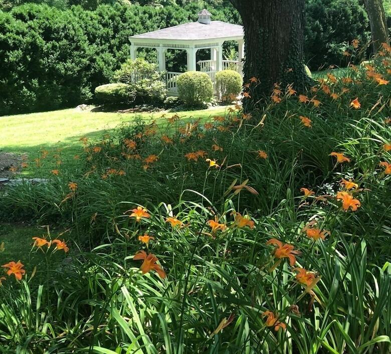 Bed & Breakfast Black Horse Inn