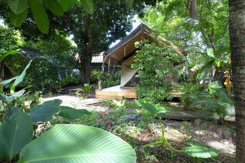 Hotel Libelula Lounge & Lodgings