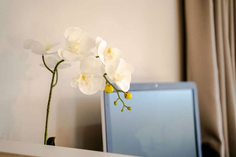 Glenfield Central Modern 1 Bdr Unit