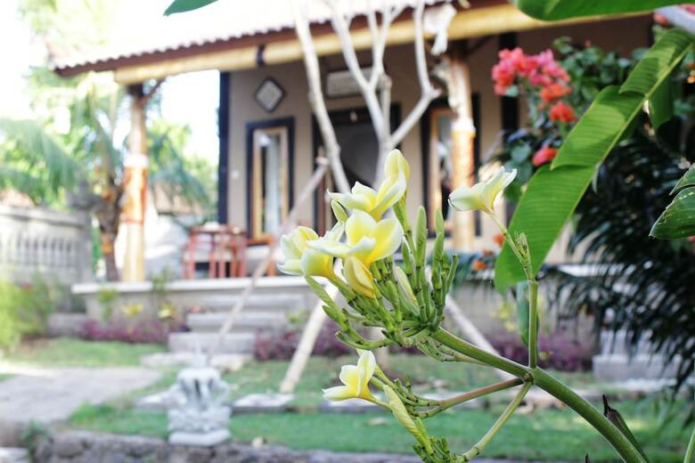Hotel The Banyan Menjangan
