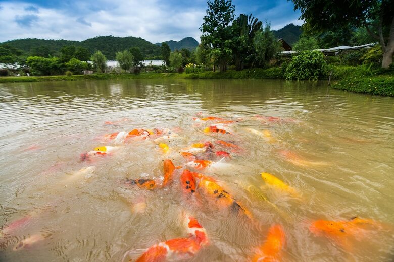 Hotel Pai Village Farm Homestay
