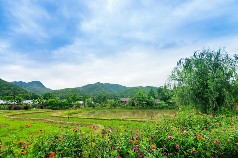 Hotel Pai Village Farm Homestay