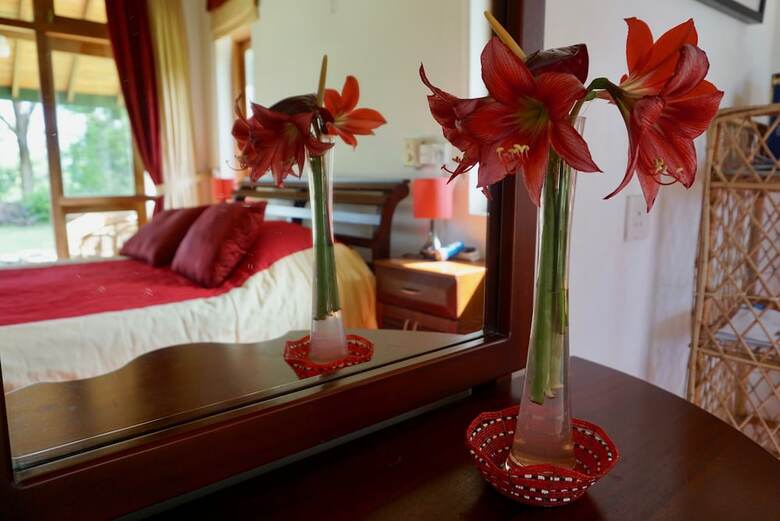 Hotel Jungle Tide Bungalow