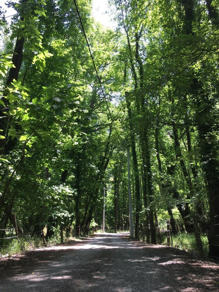 Ada Apart Otel Gocek