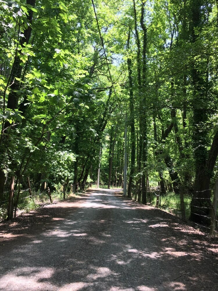 Ada Apart Otel Gocek