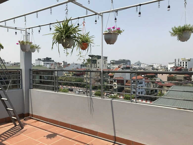 Hotel Cactus Homestay