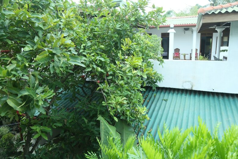 Hotel Yoho Villa Koggala