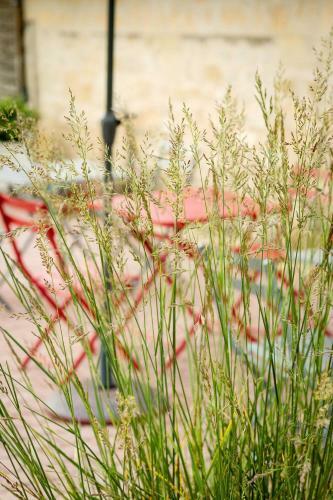 Bed & Breakfast Chateau La Mothe Du Barry