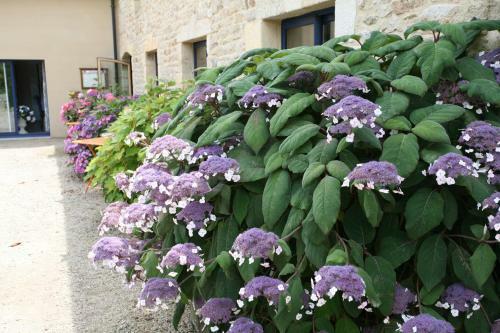 Hotel H�tel L'hortensia